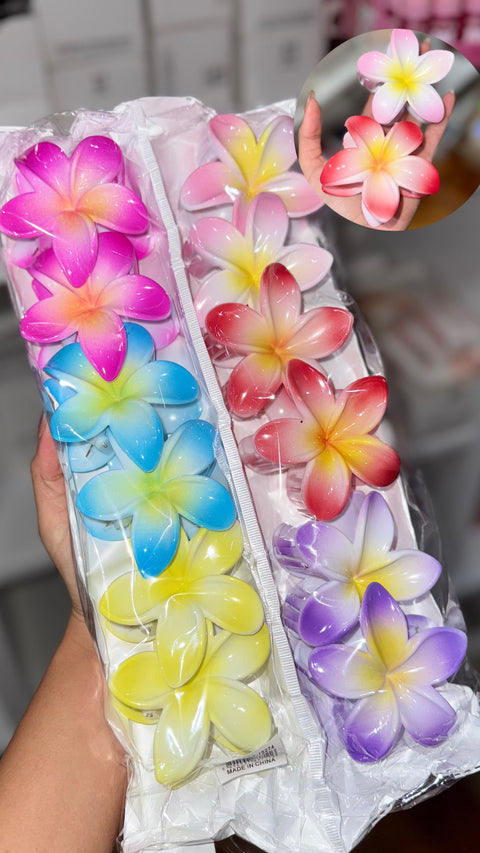 Two Tone Flower Catcher 3Inch Length (Multi Colors)